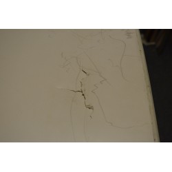 Boardreparatie Fanatic