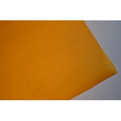 Chikara spinnaker 156 breed. GEEL