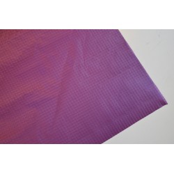 Chikara spinnaker 156 breed. BURBERRY